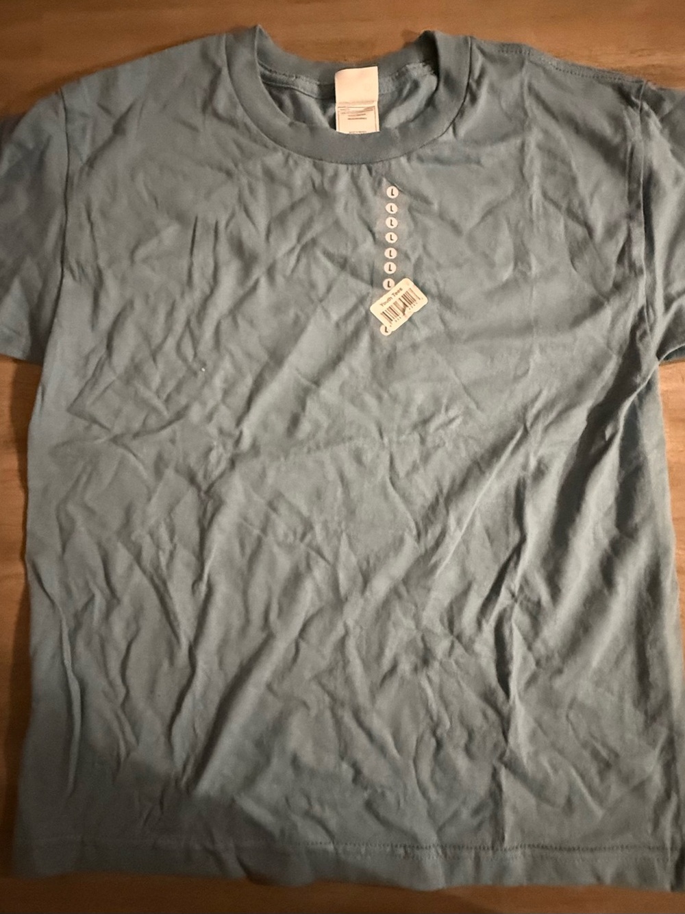 Alstyle Short Sleeve Tee in Light Blue